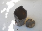 DSCN8390.JPG