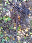 WP_001868.jpg