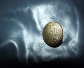 DSCF5811.JPG