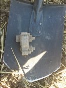 DSC_1710.JPG