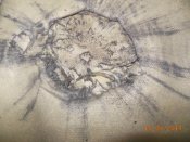 Осколки 3.jpg