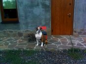 DSC02720.JPG