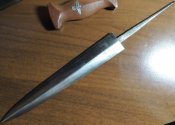 DSCN8491.jpg