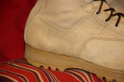 IMG_4985.JPG