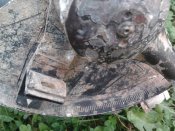 2014-09-21 11.10.18.jpg