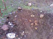 21-11-09_1235.jpg