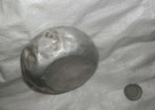 P1010030_thumb.jpg