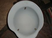 DSC01897.JPG
