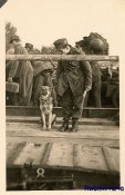 Gebirgsjäger Schutzhund (K-9) Handler & Dog!.jpg