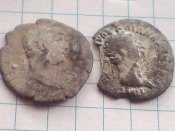 rm2.jpg