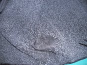 DSCN1451.JPG