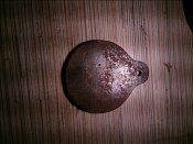 DSC_0775.jpg