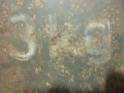 DSC03915.JPG