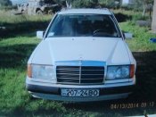 DSC07420.JPG