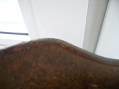 SDC10433.JPG