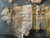 DSCN9096.JPG