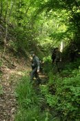 IMG_0058.JPG
