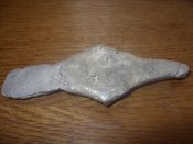 SDC10272.JPG