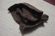 DSC03414.jpg