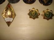 DSC00151.JPG
