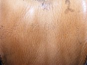 DSCF5207.JPG