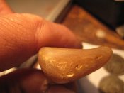 IMG_1721.JPG