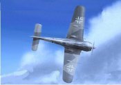 fw190 in flight.jpg