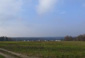 P1080052.JPG