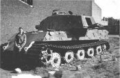 113.jpg