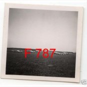 003.JPG