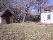 IMG_20141008_120527.jpg