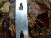 DSCN4033.JPG