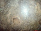 ABCD0013.JPG