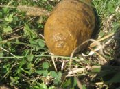 IMG_0219.JPG