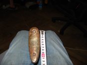 DSC00015.JPG