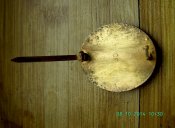 BILD1403.JPG