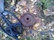 WP_002036.jpg