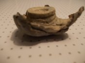 DSCN3316.JPG