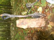 DSCN3493.JPG