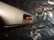 DSC07444.JPG