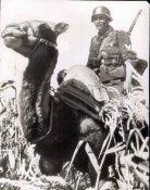 kamel_1942.jpg
