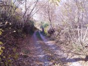 IMG_20141014_132218.jpg