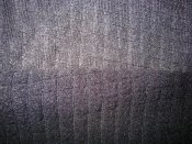 IMG_2568.JPG