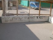73166.jpg