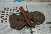 DSC_6749.jpg