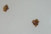 DSC_6755.jpg
