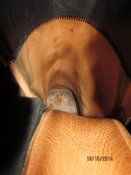 IMG_2739.jpg