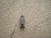 DSC06764.JPG