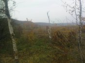 DSC02932.JPG