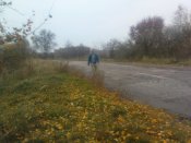 DSC02934-1.jpg